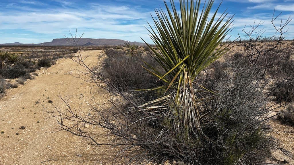 5 acres in Brewster County - photo 5