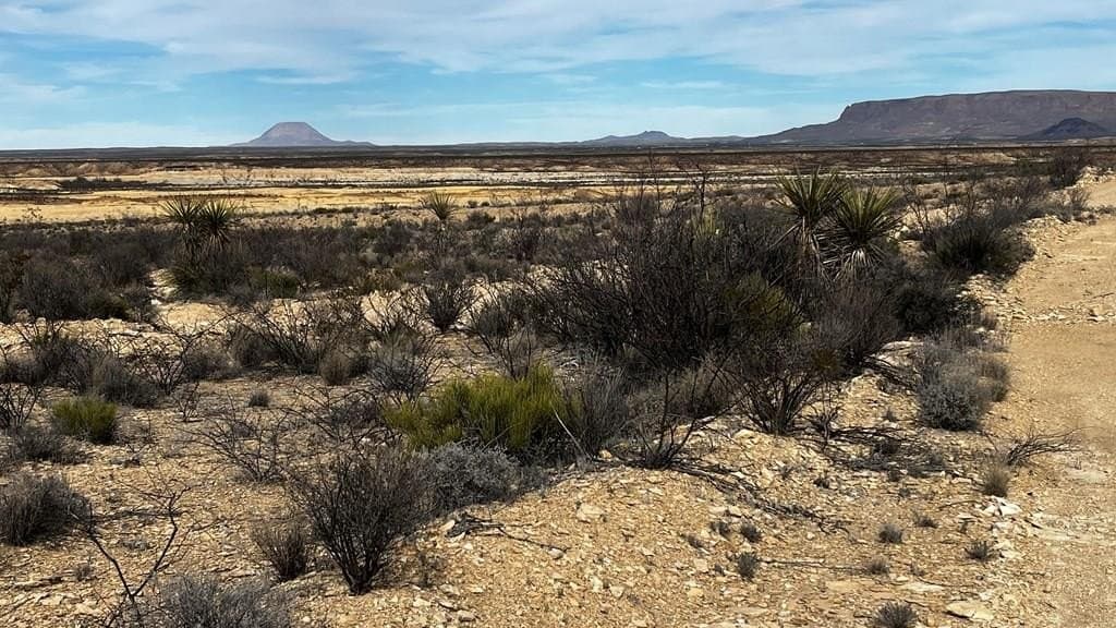 5 acres in Brewster County