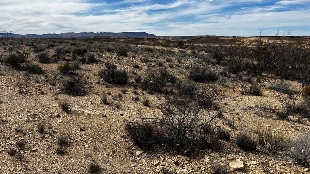 5 acres in Brewster County - photo 4