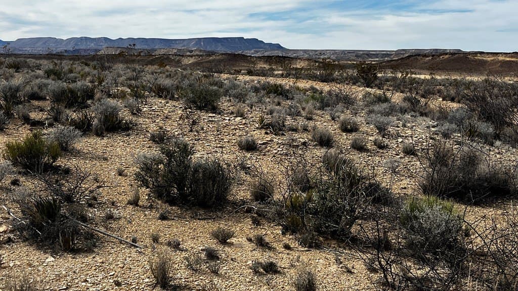 5 acres in Brewster County - photo 3