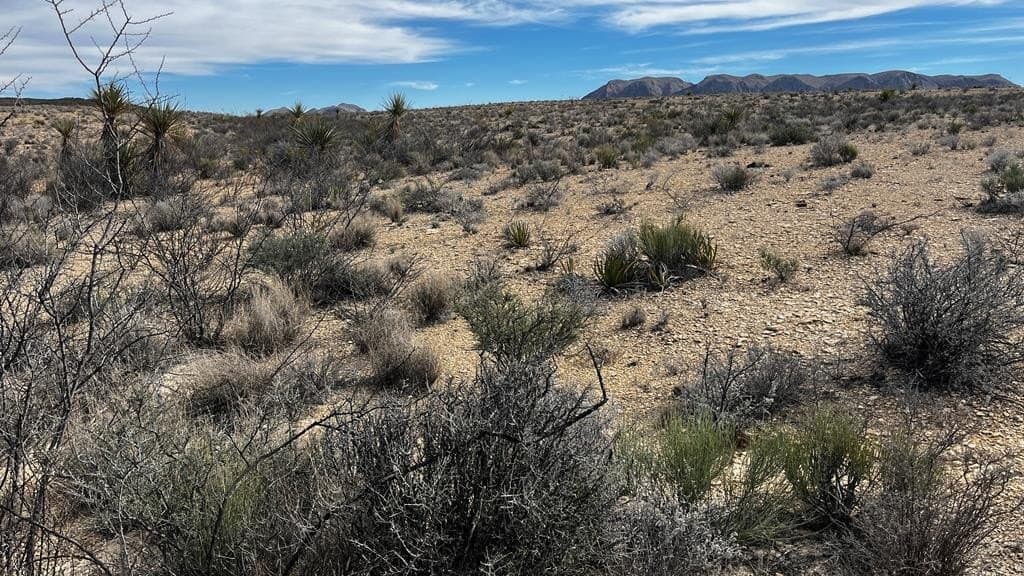 5 acres in Brewster County - photo 2