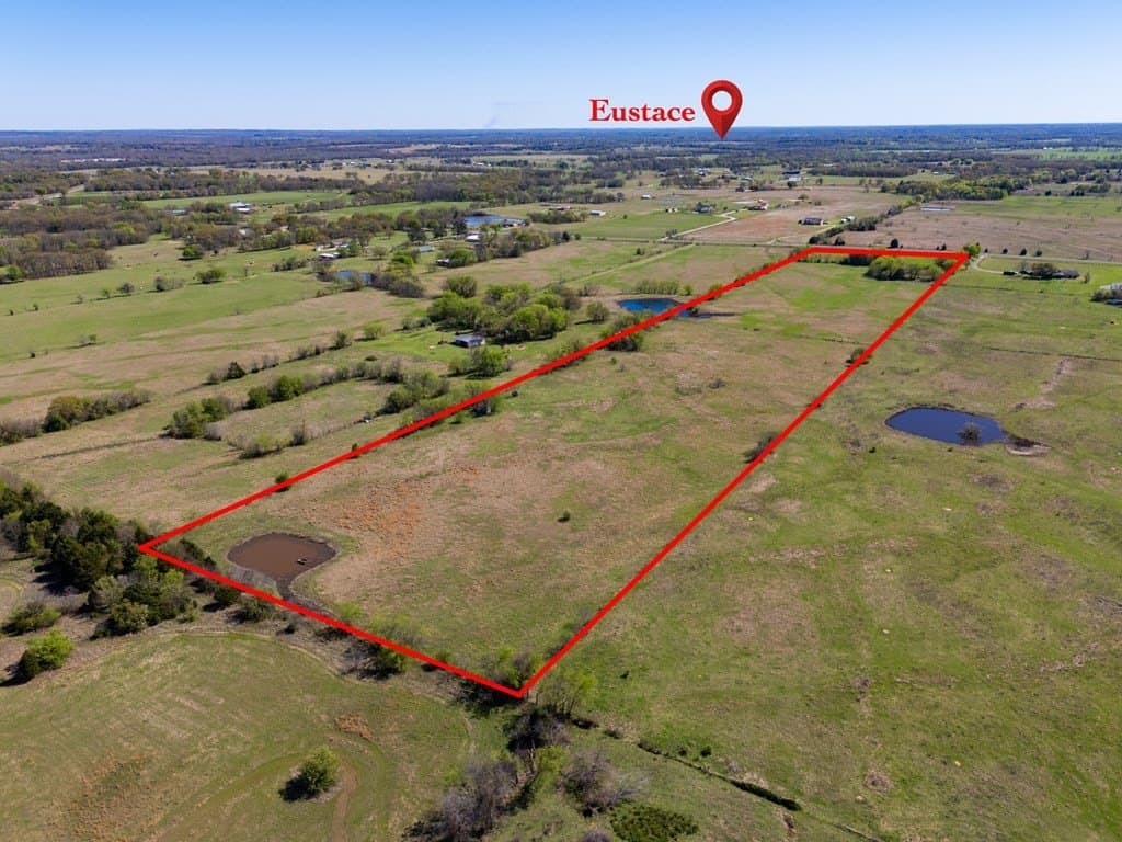 19 acres in Van Zandt County gallery image 4