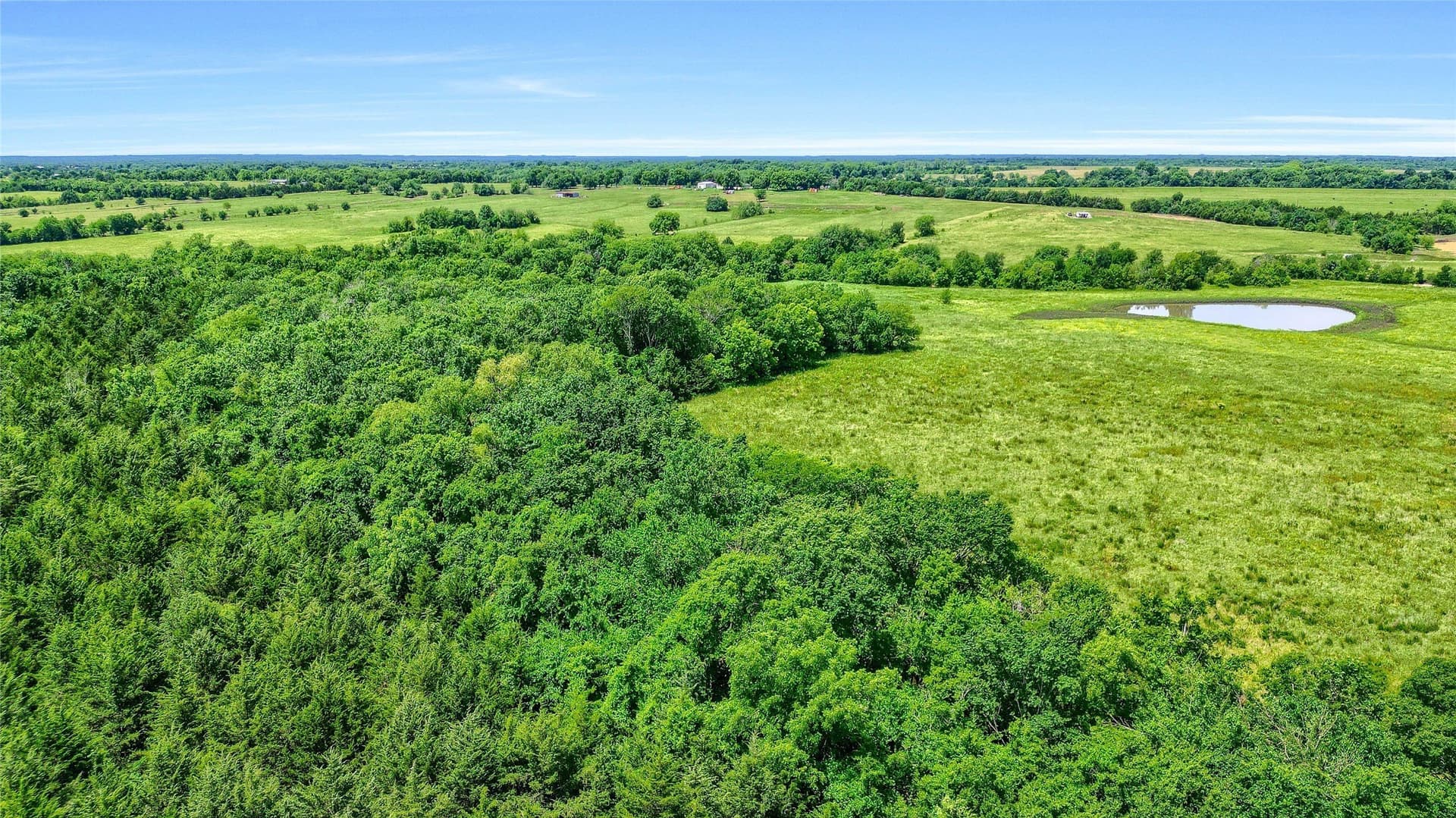 54.79 acres in Fannin County - photo 15