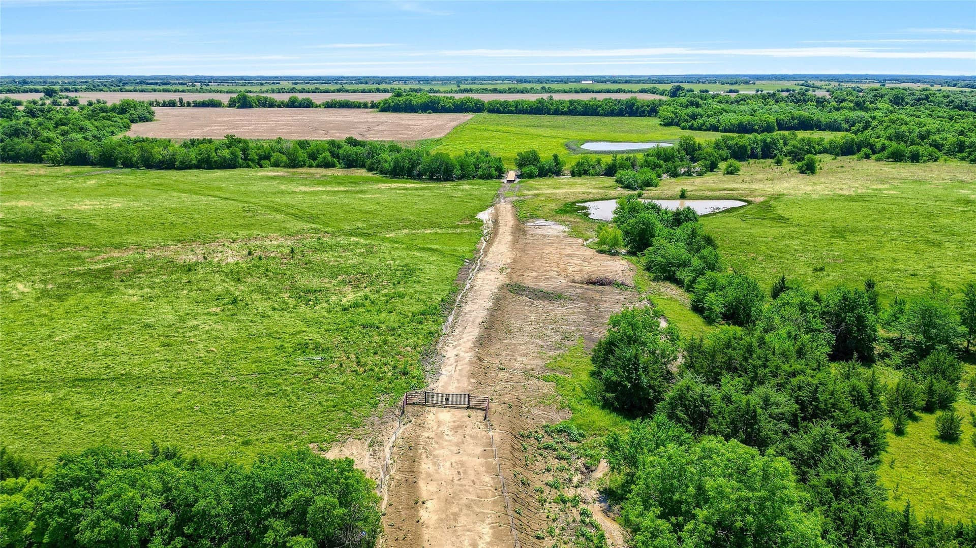 54.79 acres in Fannin County - photo 4