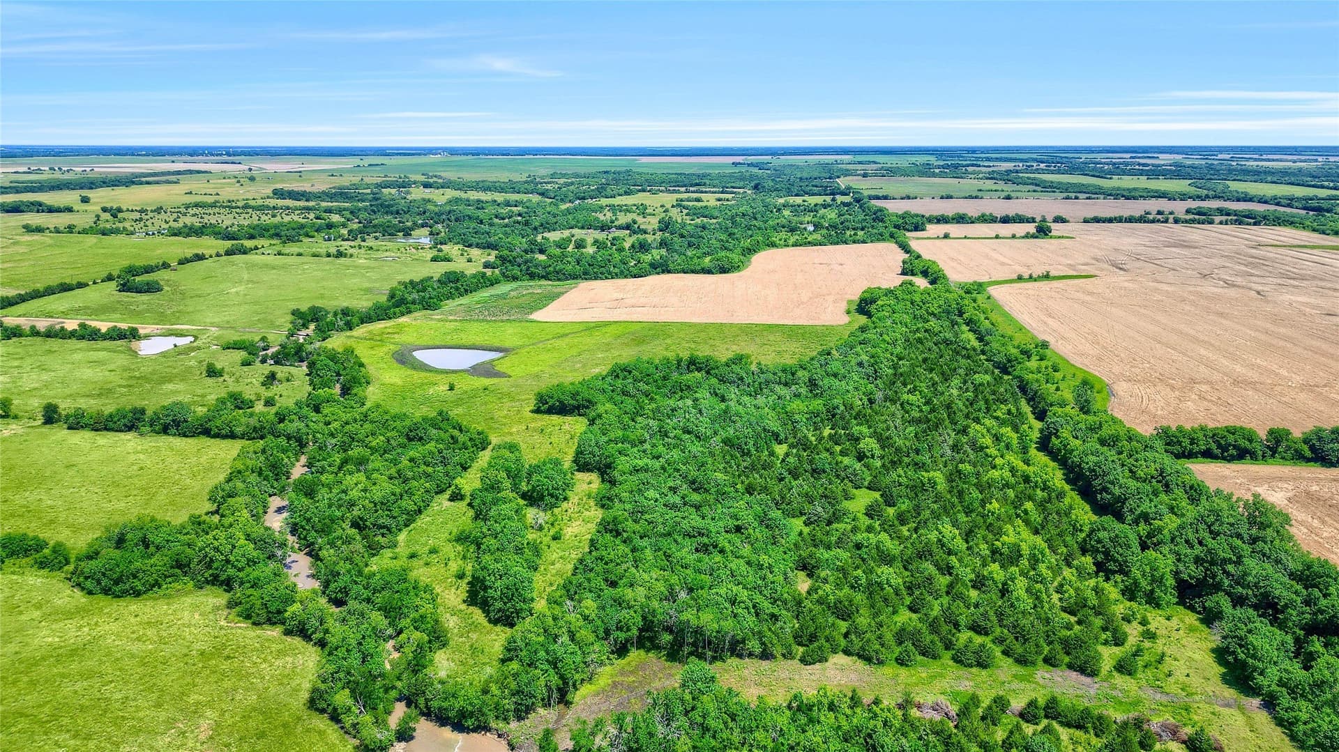 54.79 acres in Fannin County - photo 12