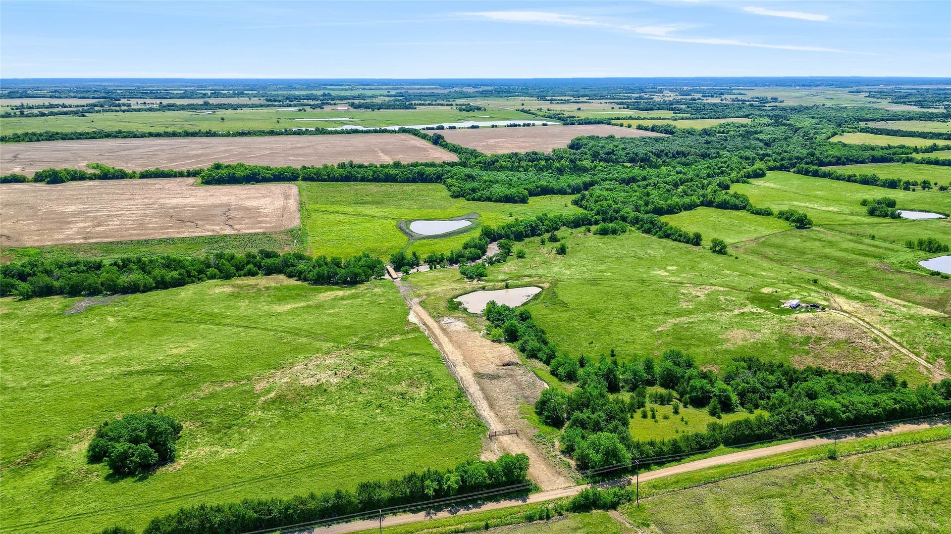 54.79 acres in Fannin County - photo 5