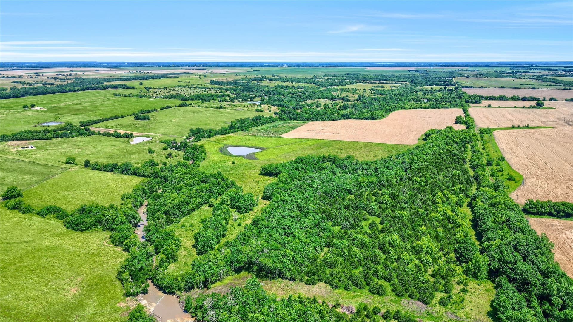 54.79 acres in Fannin County - photo 13