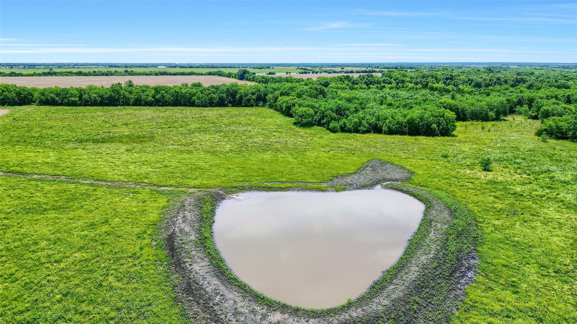 54.79 acres in Fannin County - photo 9