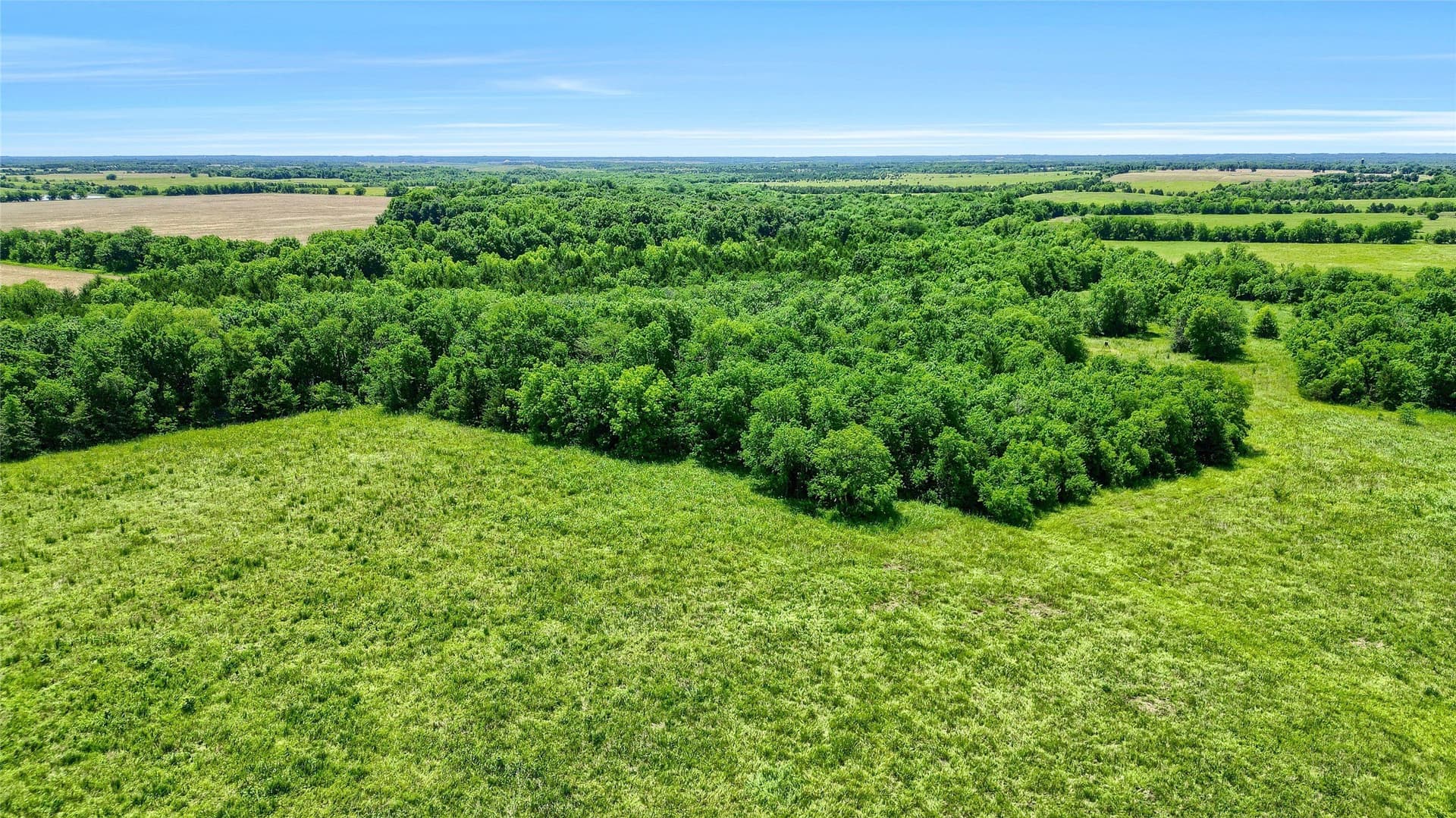54.79 acres in Fannin County - photo 22
