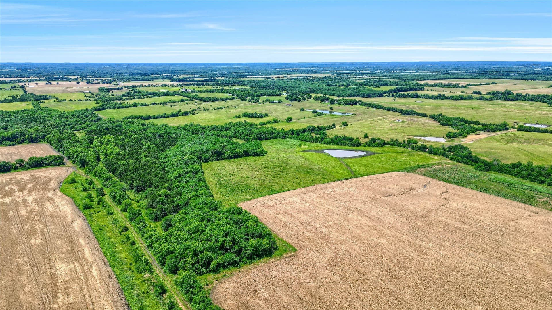 54.79 acres in Fannin County - photo 17