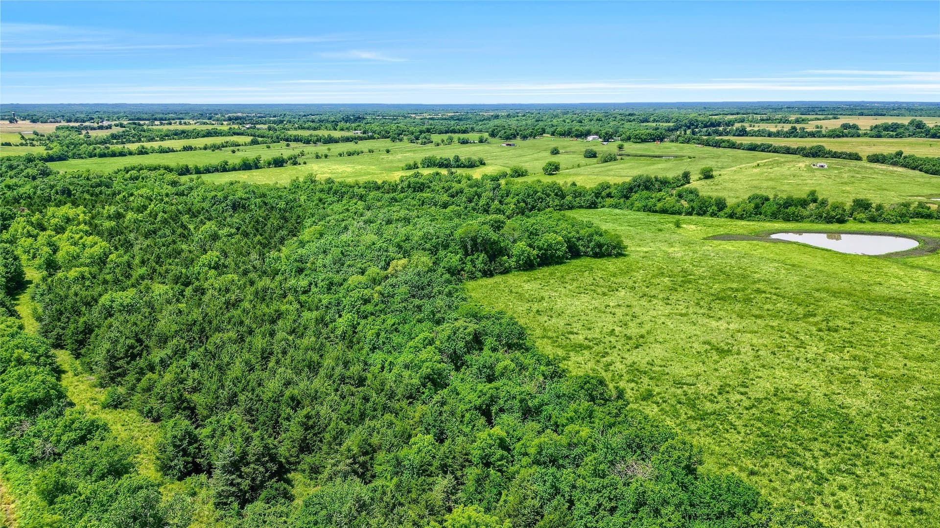 54.79 acres in Fannin County - photo 14
