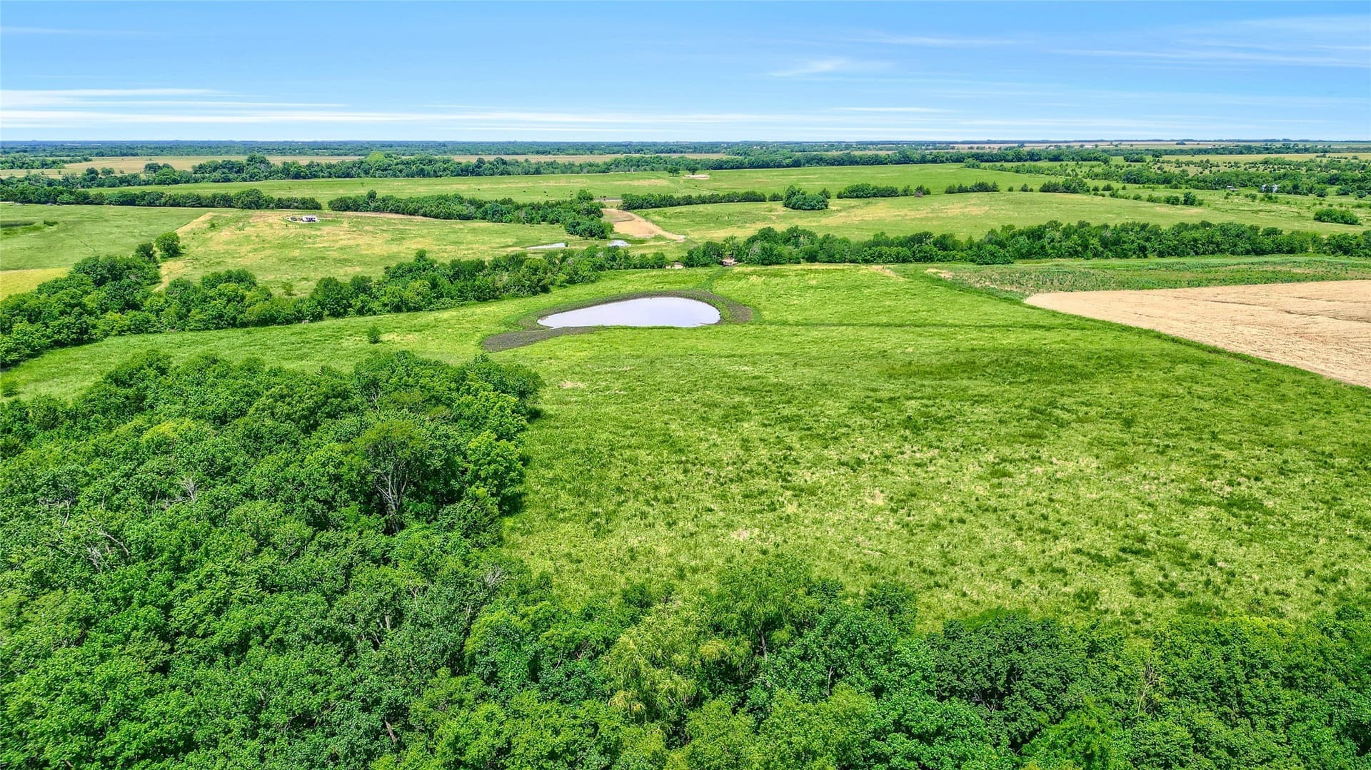 54.79 acres in Fannin County - photo 16