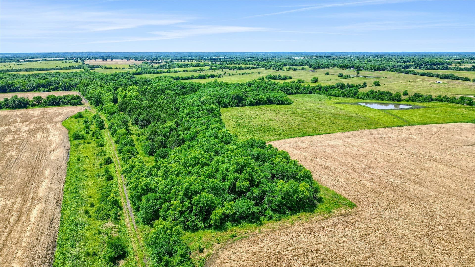 54.79 acres in Fannin County - photo 20