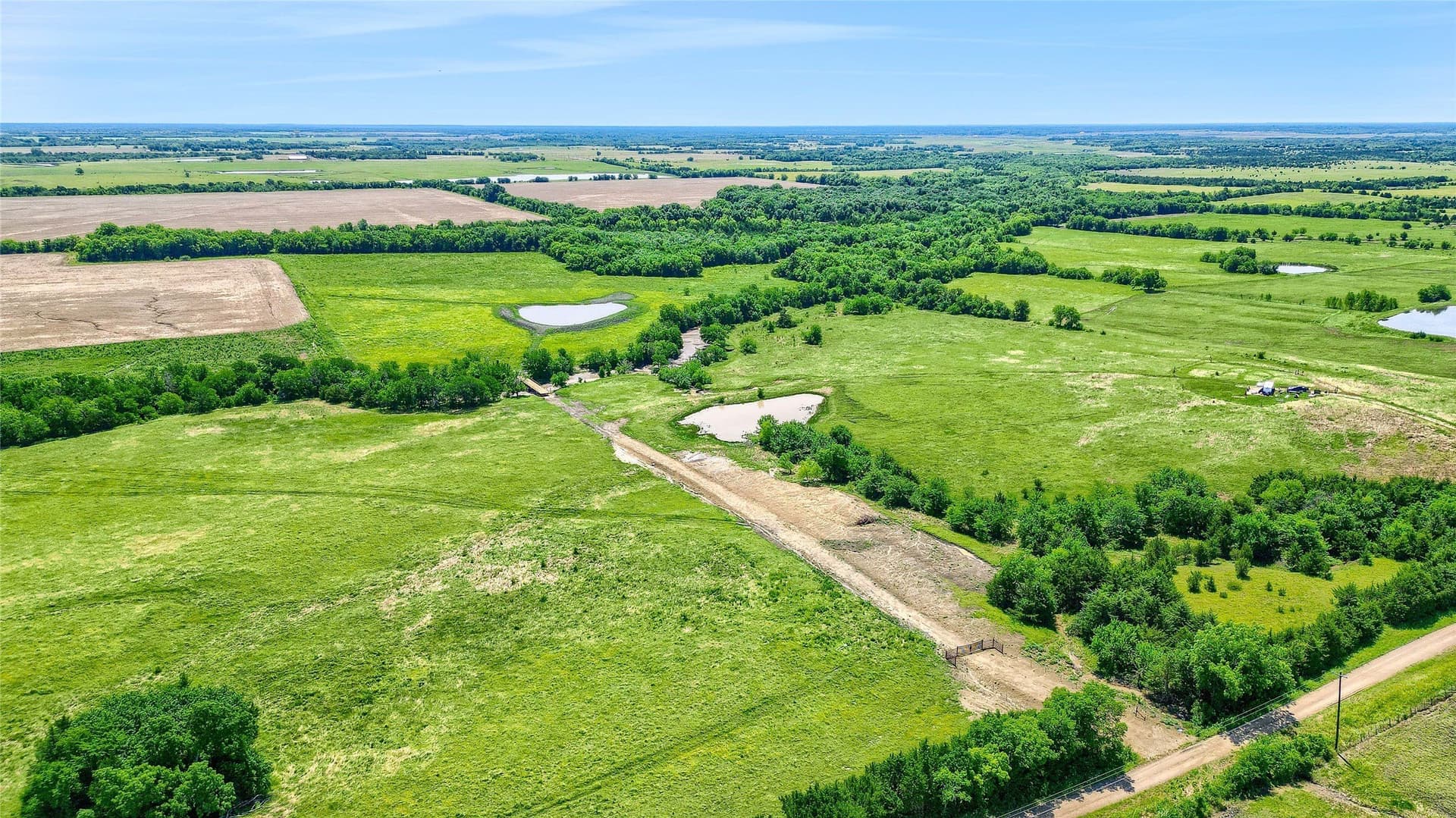 54.79 acres in Fannin County - photo 6