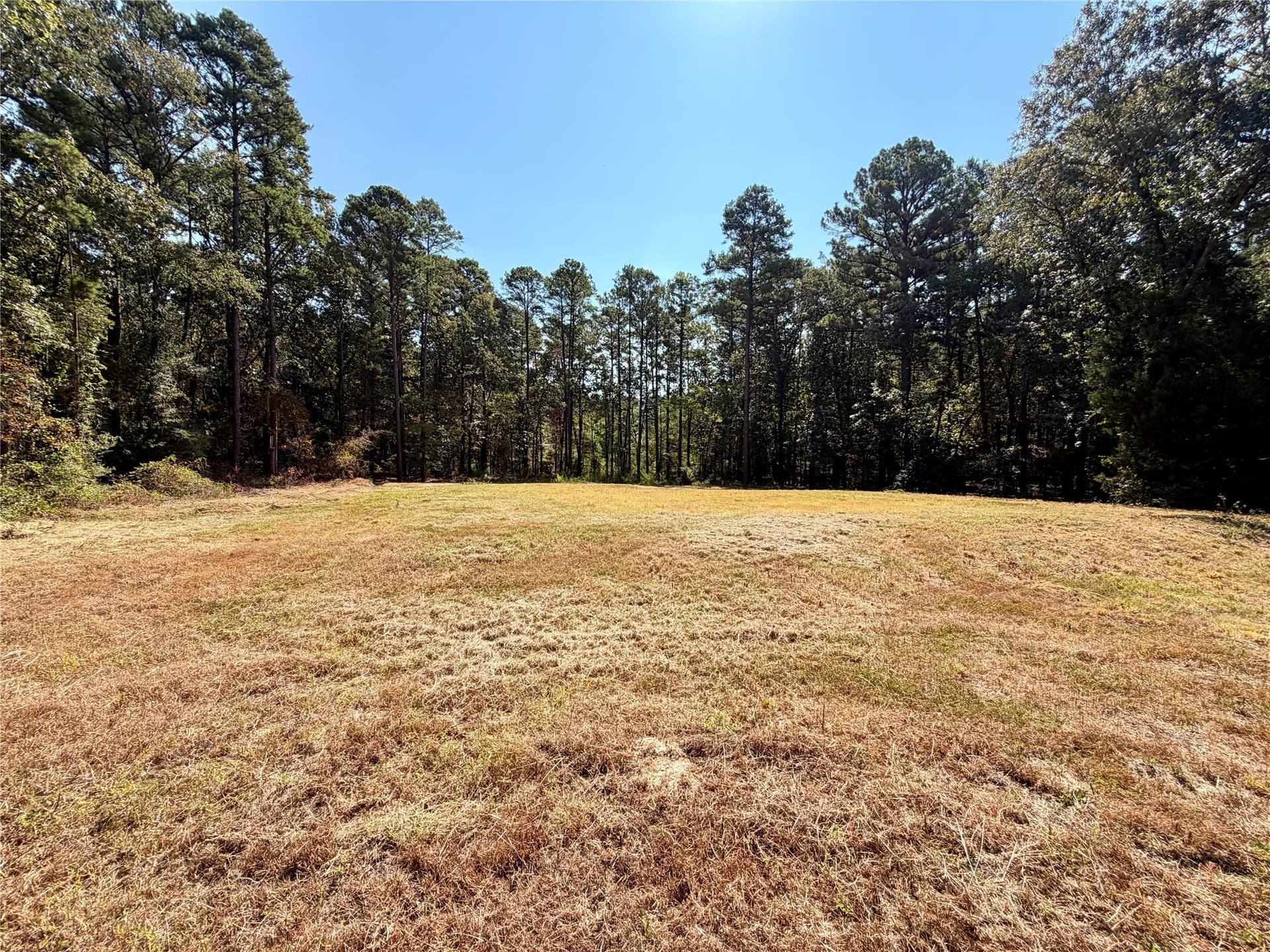 1 acres in Smith County - photo 5