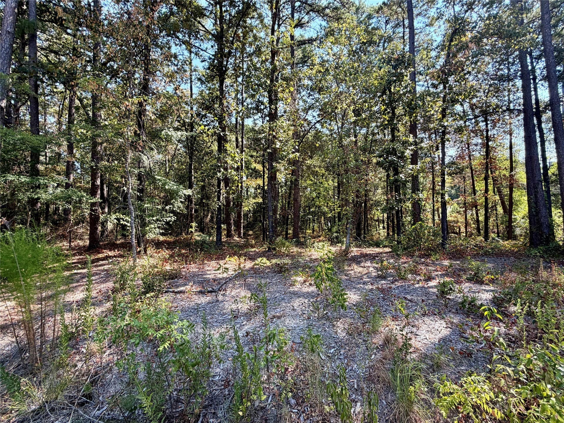 1 acres in Smith County - photo 8