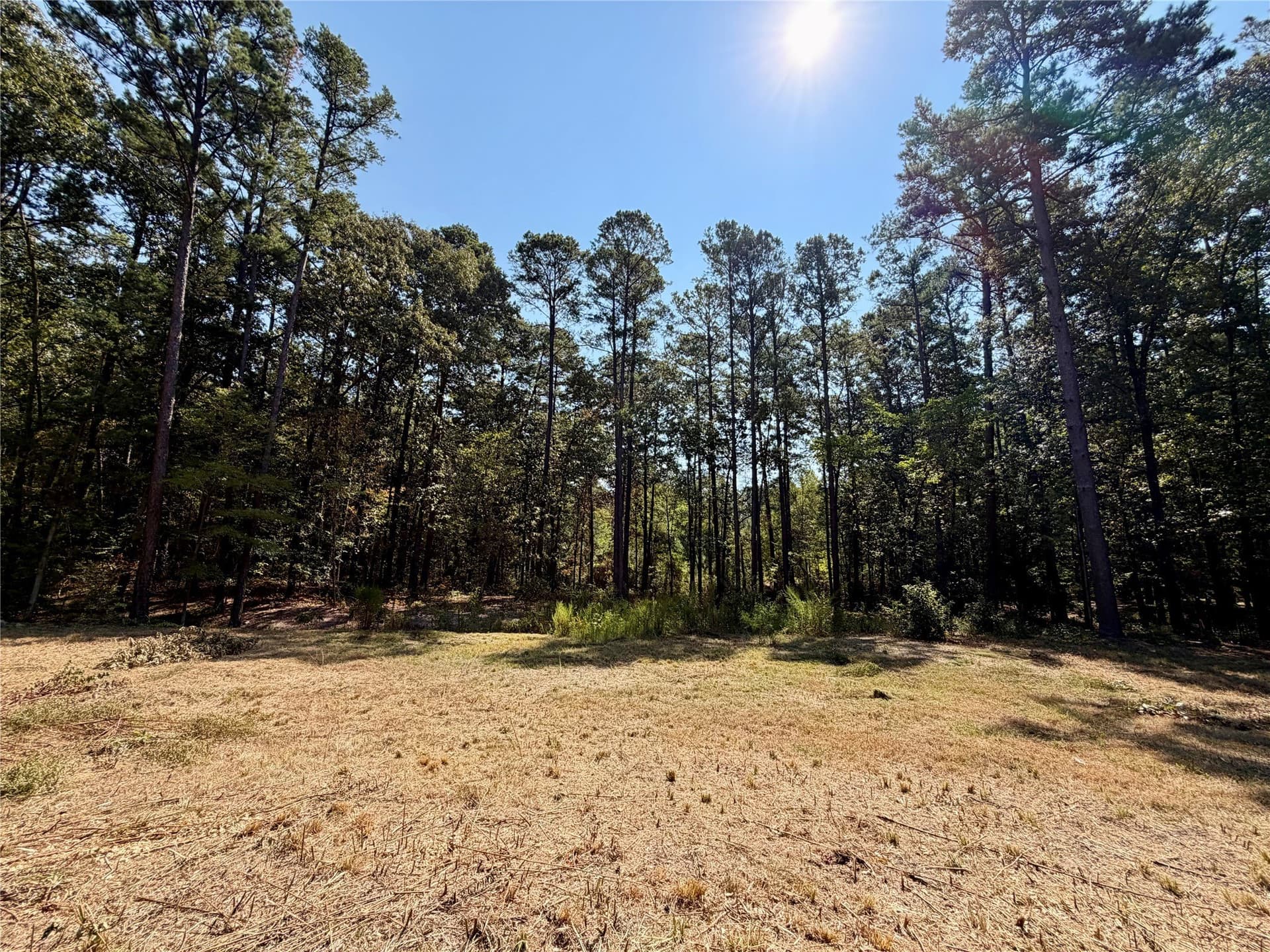 1 acres in Smith County - photo 6