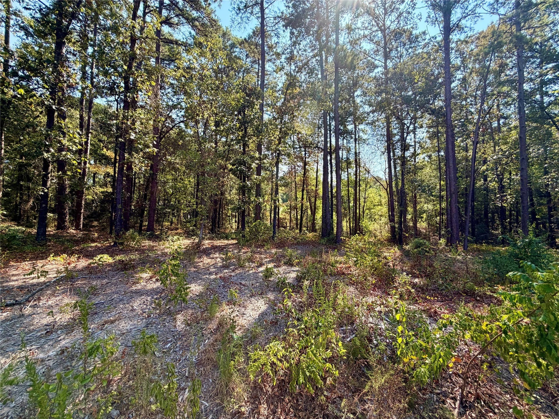 1 acres in Smith County - photo 7