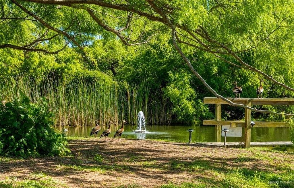 0.87 acres in Hidalgo County - photo 13