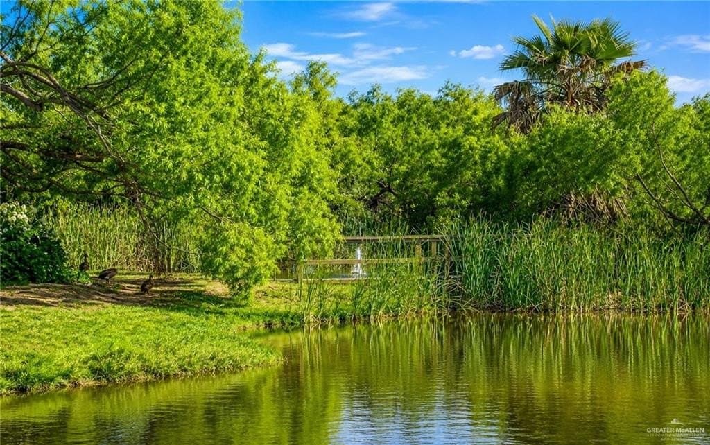 0.87 acres in Hidalgo County - photo 12