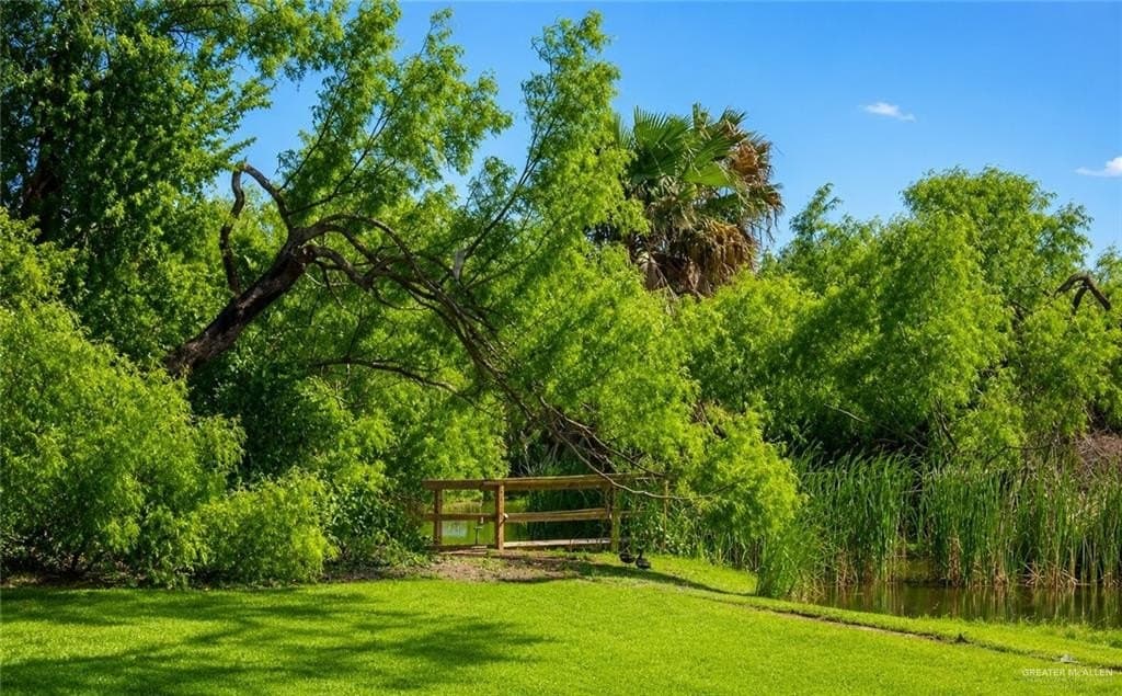 0.87 acres in Hidalgo County - photo 11
