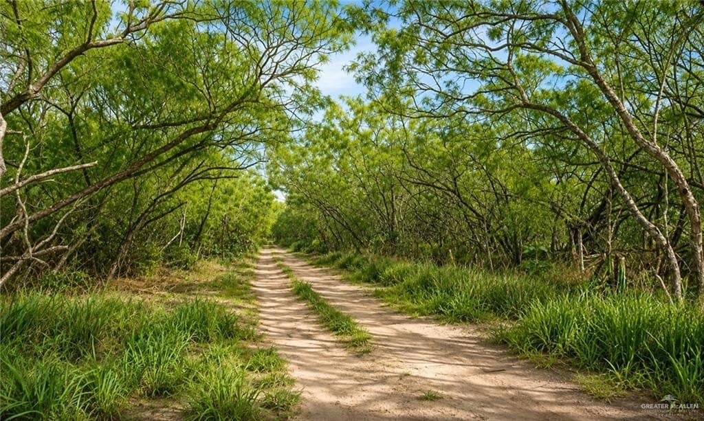 0.87 acres in Hidalgo County - photo 17