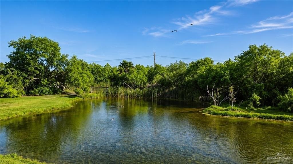 0.87 acres in Hidalgo County - photo 15
