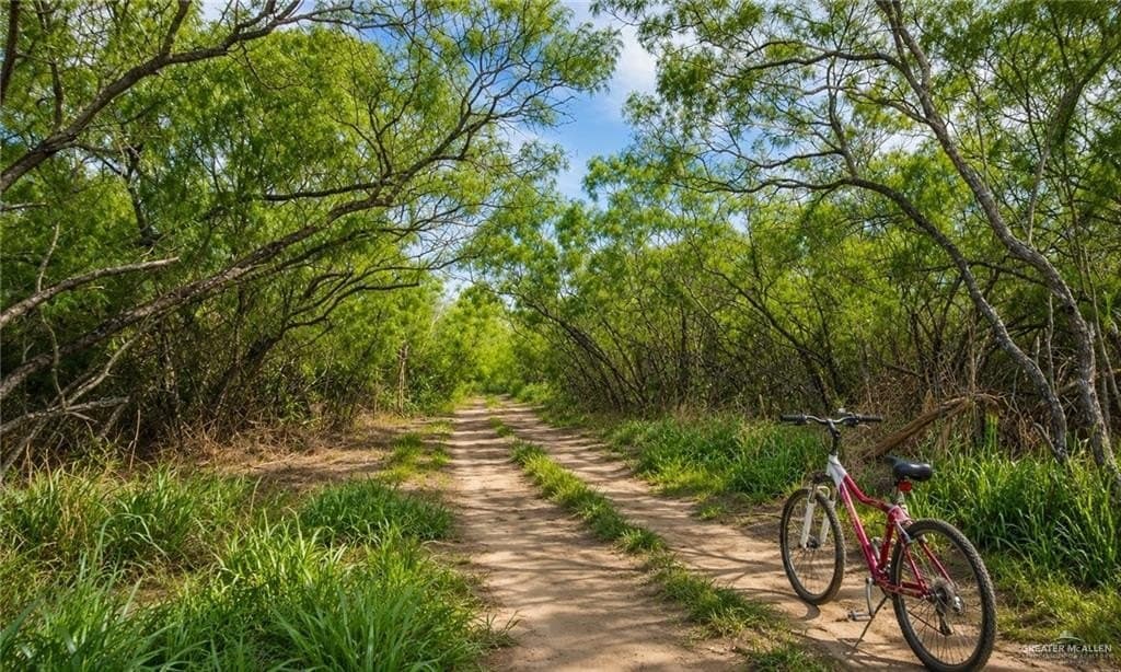 0.87 acres in Hidalgo County - photo 16