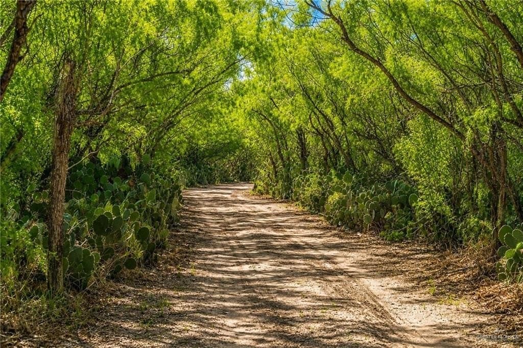 0.87 acres in Hidalgo County - photo 18