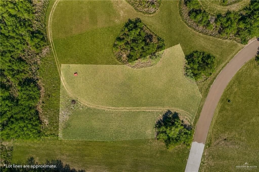 0.87 acres in Hidalgo County - photo 7