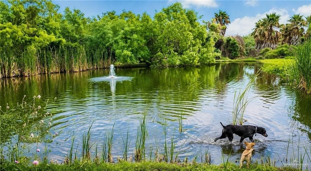 0.87 acres in Hidalgo County - photo 9