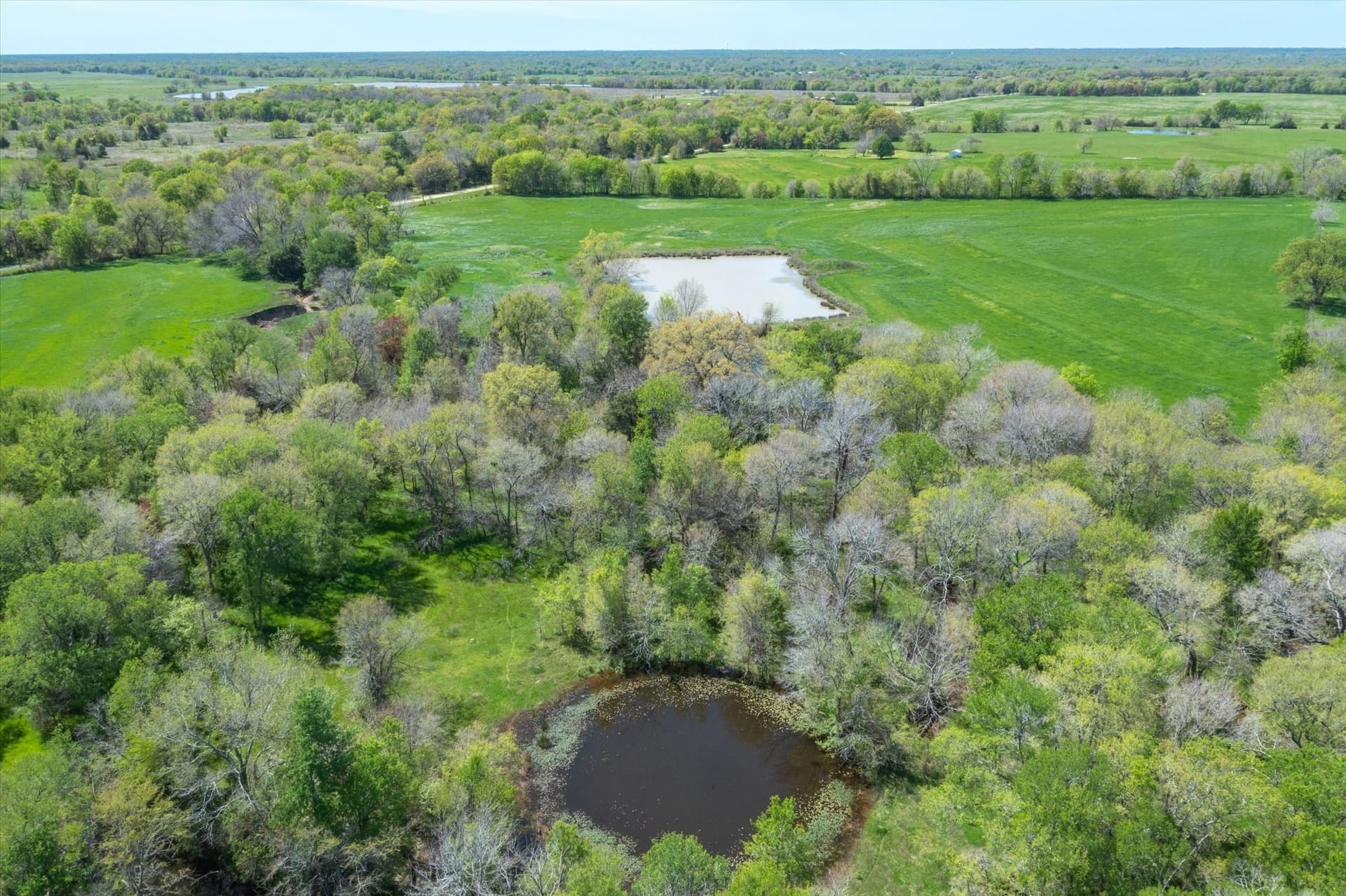36.67 acres in Van Zandt County - photo 15