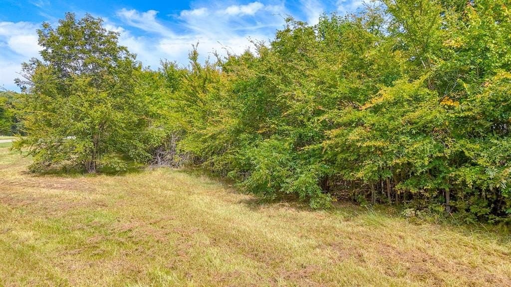 1.02 acres in Navarro County gallery image 3