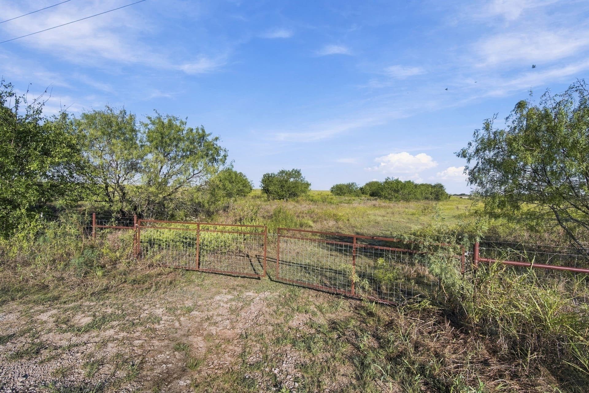 65 acres in Hill County - photo 8