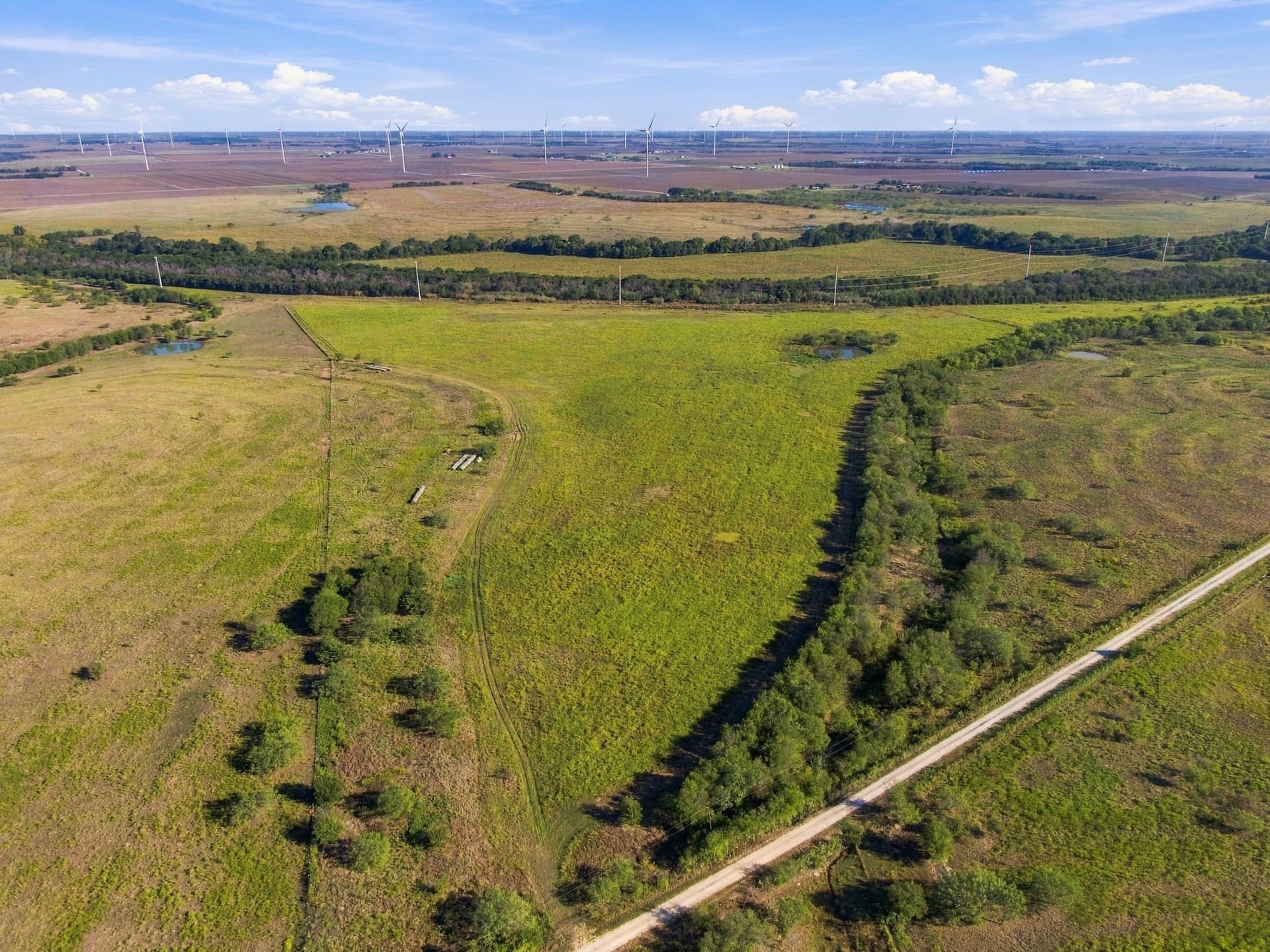 65 acres in Hill County - photo 5