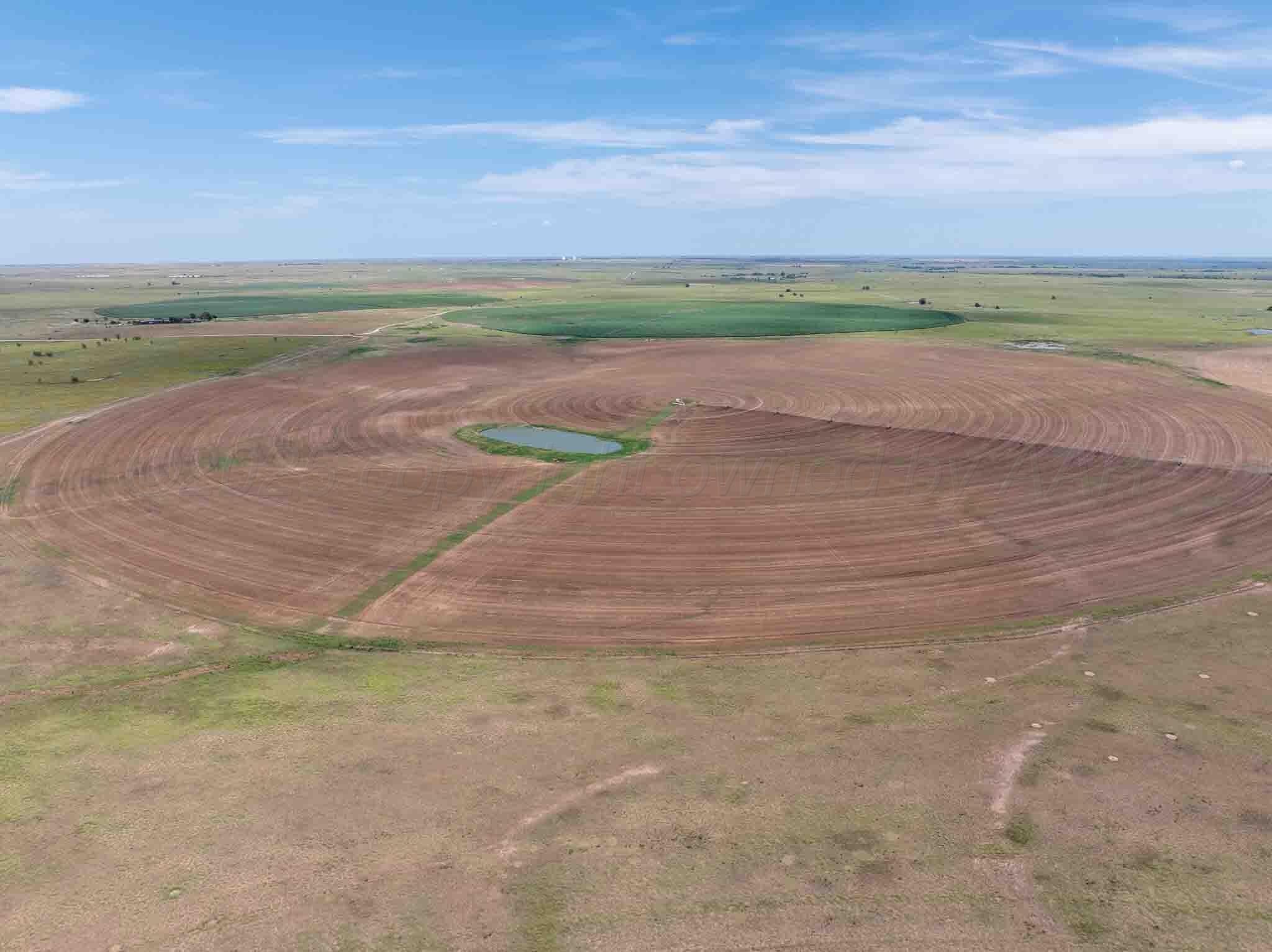 317 acres in Lipscomb County - photo 7