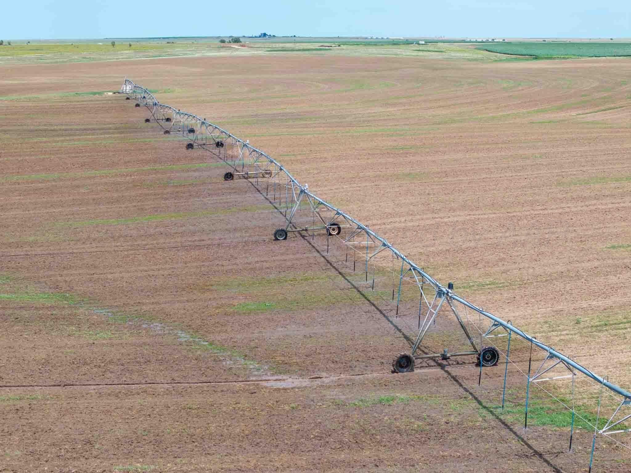 317 acres in Lipscomb County - photo 8