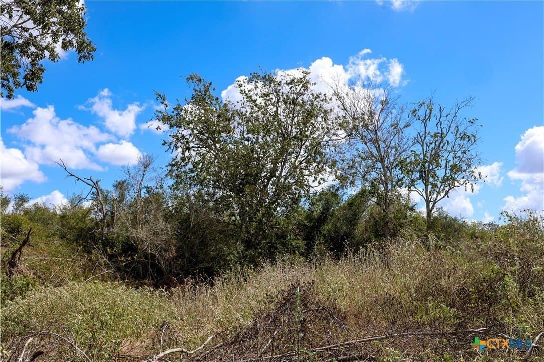 71.2 acres in Victoria County - photo 8