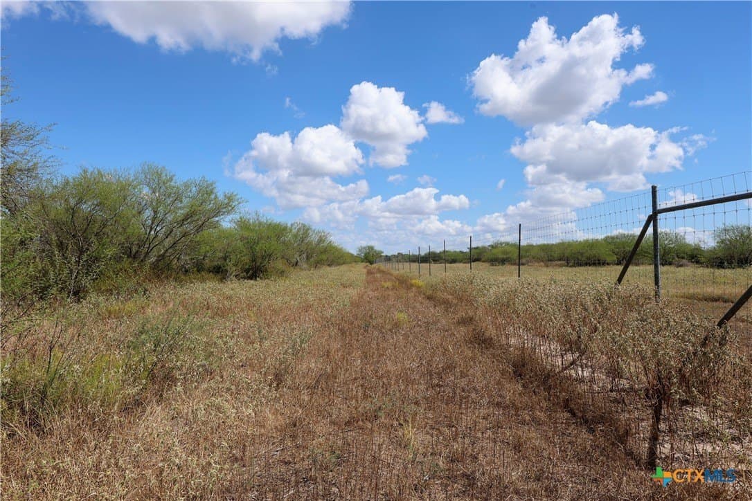 71.2 acres in Victoria County - photo 10