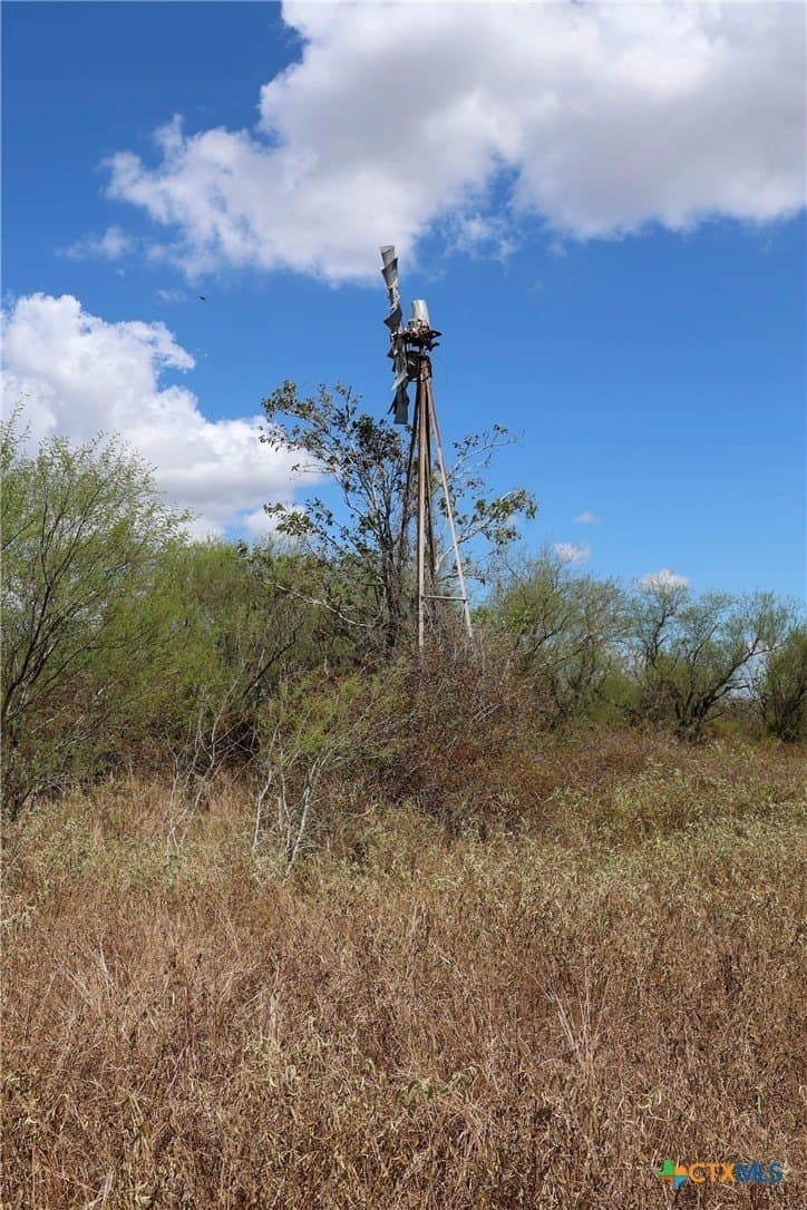 71.2 acres in Victoria County - photo 22