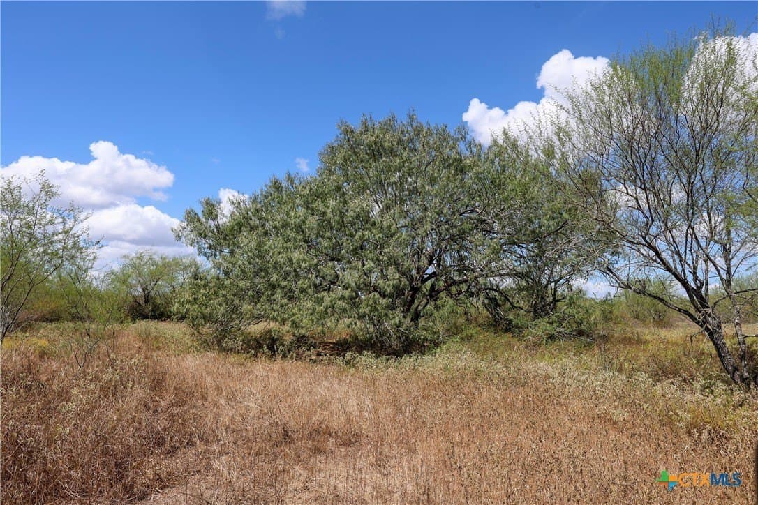 71.2 acres in Victoria County - photo 2