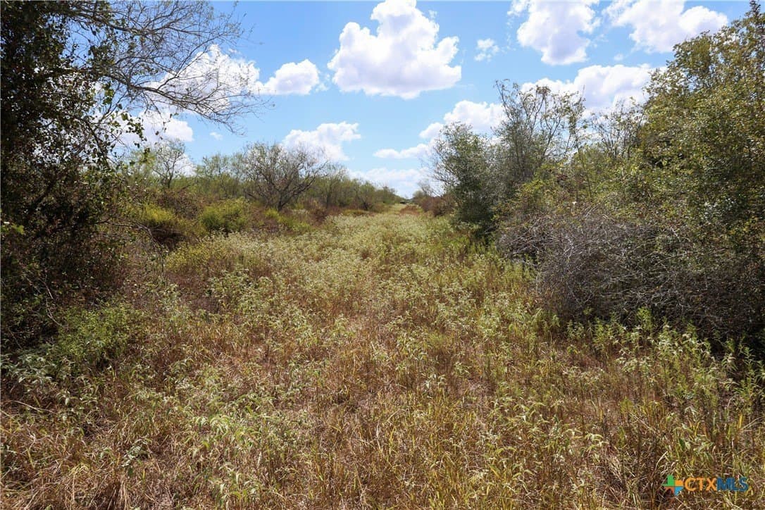 71.2 acres in Victoria County - photo 23