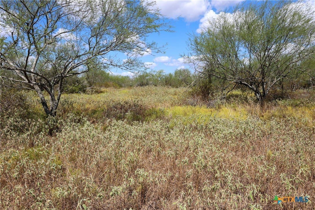 71.2 acres in Victoria County - photo 14