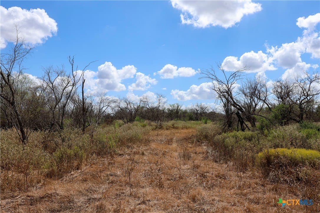 71.2 acres in Victoria County - photo 6