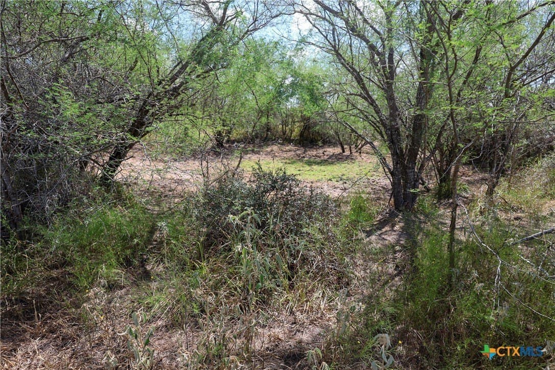 71.2 acres in Victoria County - photo 13
