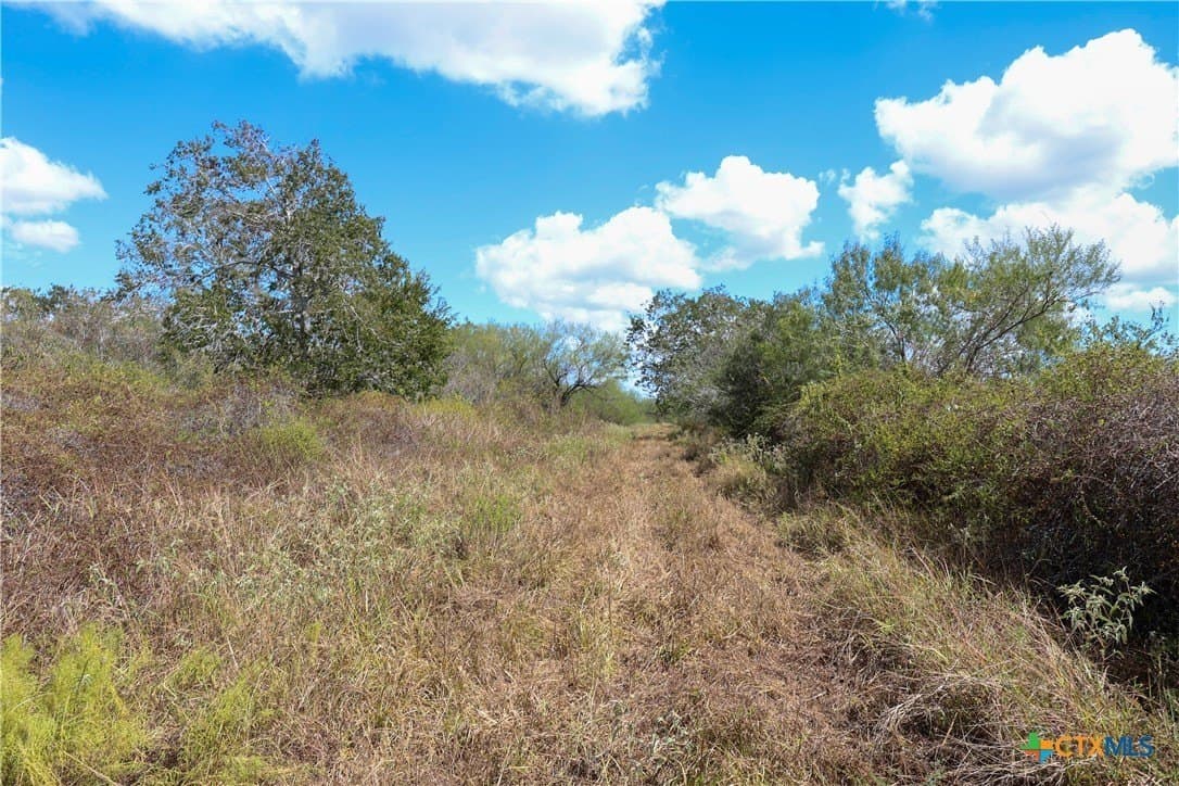 71.2 acres in Victoria County - photo 9