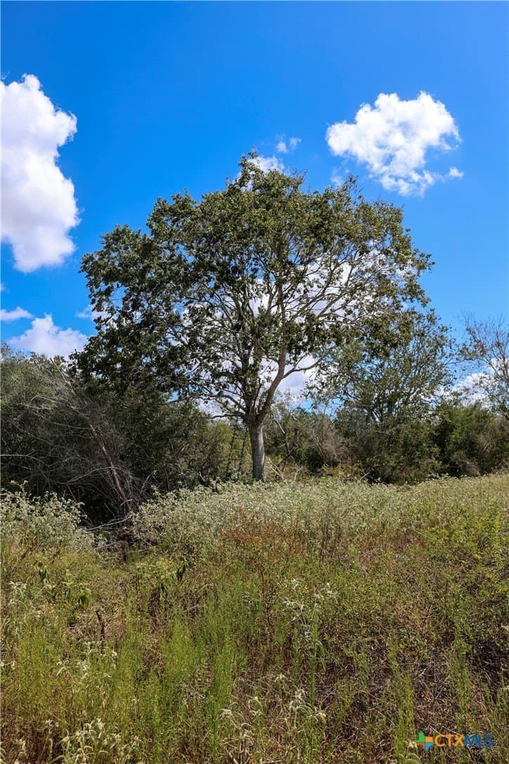 71.2 acres in Victoria County - photo 16