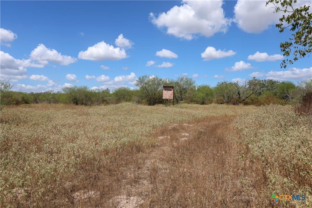71.2 acres in Victoria County - photo 18