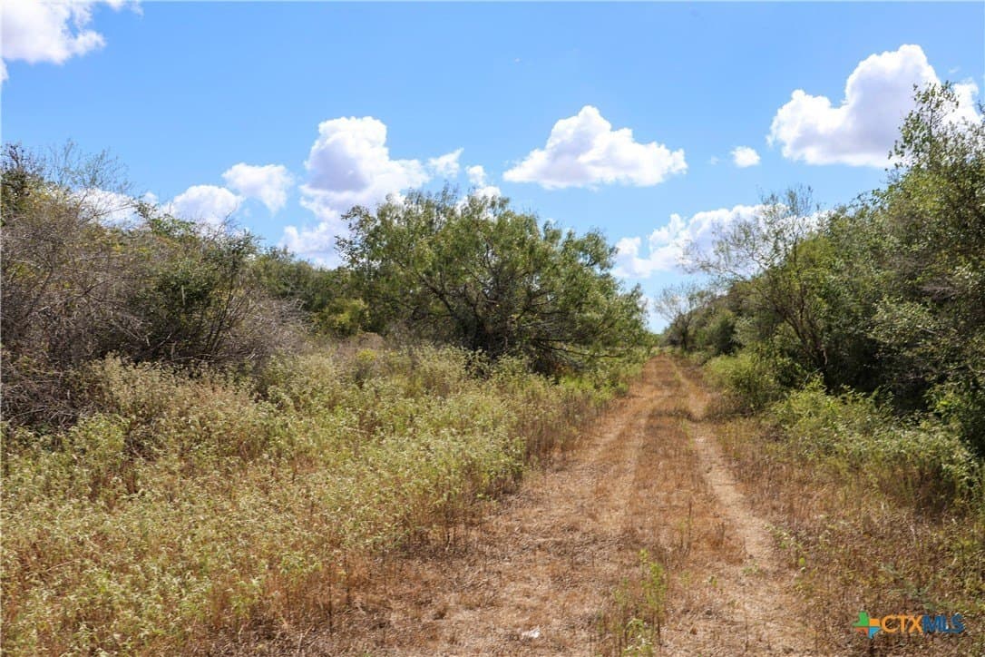 71.2 acres in Victoria County - photo 4