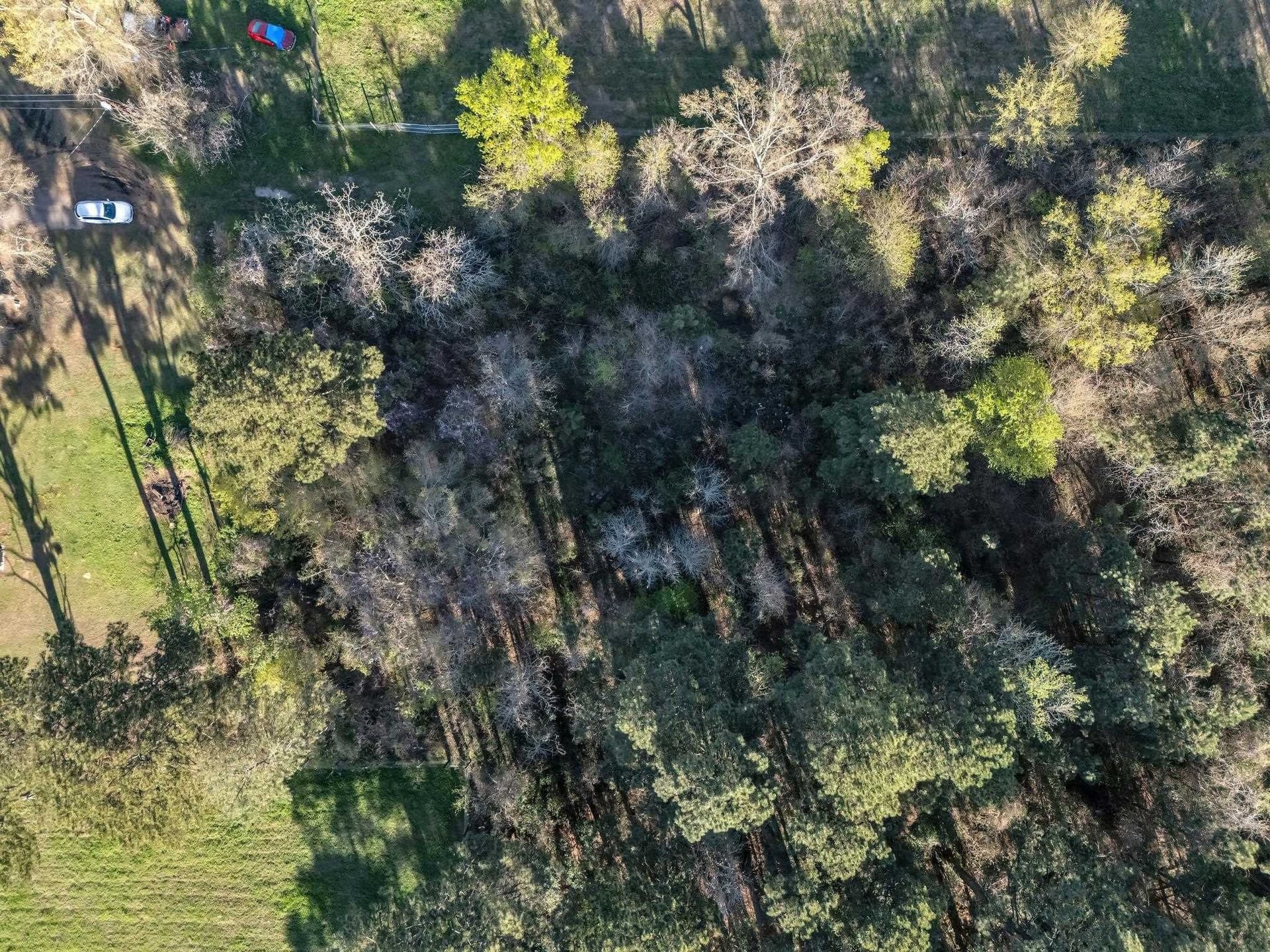0.65 acres in Smith County - photo 12